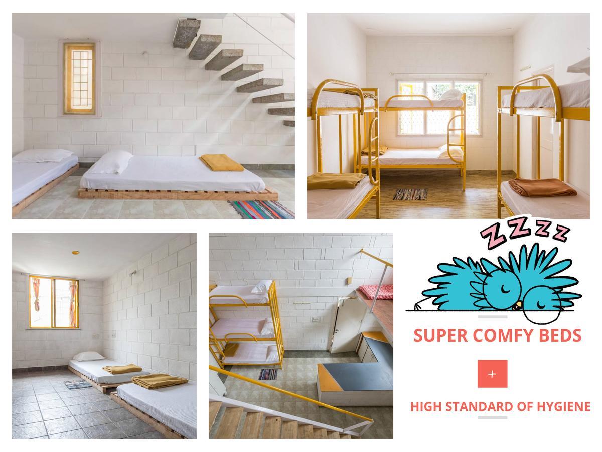 Cuckoo Hostelバンガロール エクステリア 写真